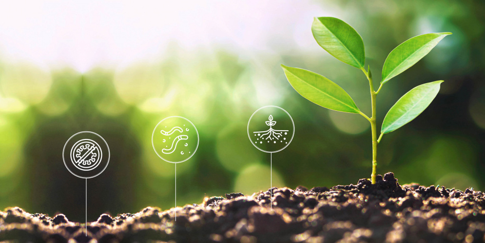 Advantages of composting with Bokashi Organko